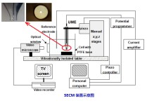 生物电化学怎么样 生物化学研究内容主要包括