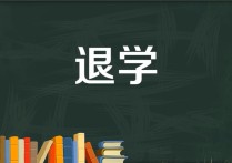 研究生退学原因怎么写 退学原因20个字怎么写?