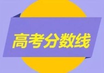 高考成绩认证 高中学业水平考试成绩在哪查